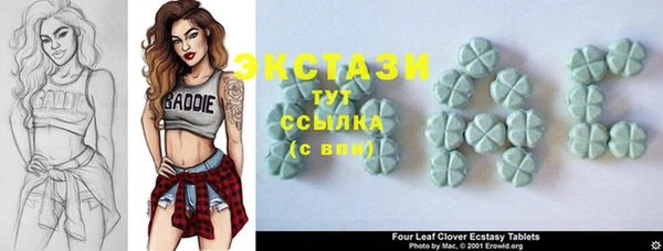 крисы Кулебаки