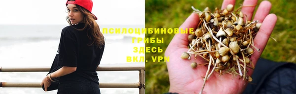 apvp Лагань