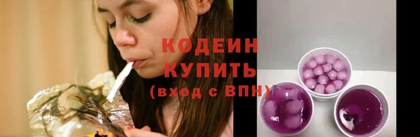 крисы Кулебаки
