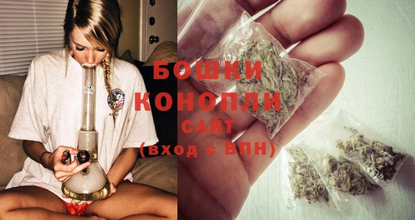 ECSTASY Ладушкин