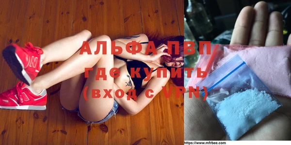 ECSTASY Ладушкин