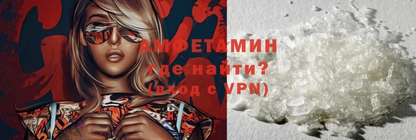 крисы Кулебаки