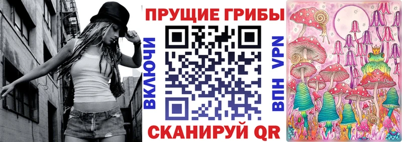 Купить закладки  Елизово  Галлюциногенные грибы Psilocybe 